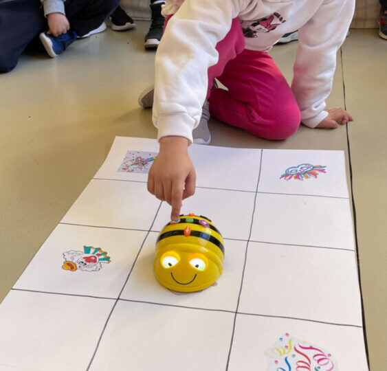 <strong>FLB: Fun Learning with Beebot!</strong>
