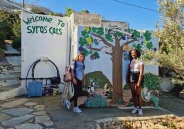 Στηρίζουμε το Syros Cats και γιορτάζουμε έμπρακτα την Πανελλήνια Ημέρα Σχολικής Φιλοζωίας