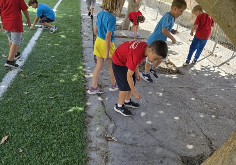 Εθελοντική δράση καθαριότητας